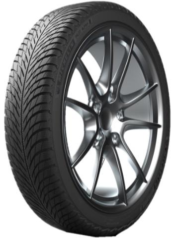 MICHELIN PILOT ALPIN 5 XL 315/30 R21 105V